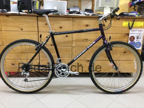 Diamondback Ascent EX  technische daten 